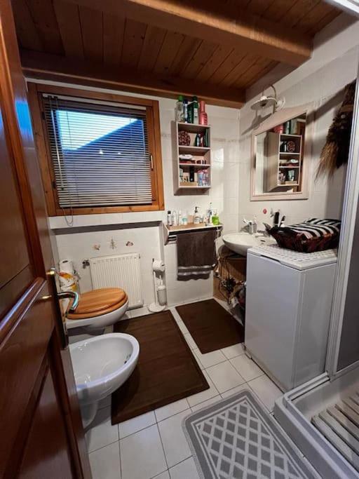 "Fresia" Chalet Turistico A Fisto Lejlighed Spiazzo  Eksteriør billede